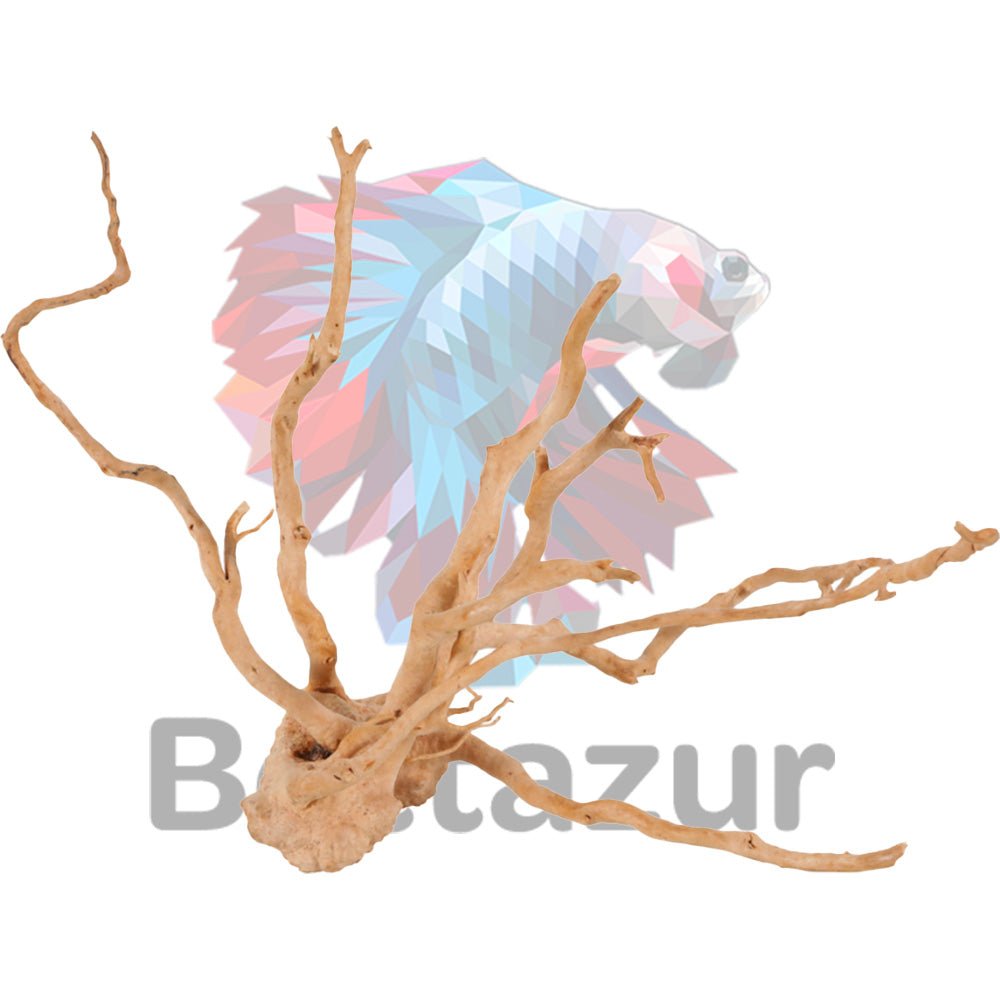 Bois Araignée | Bois d'aquarium naturelles | Aquaglobe - Bettazur