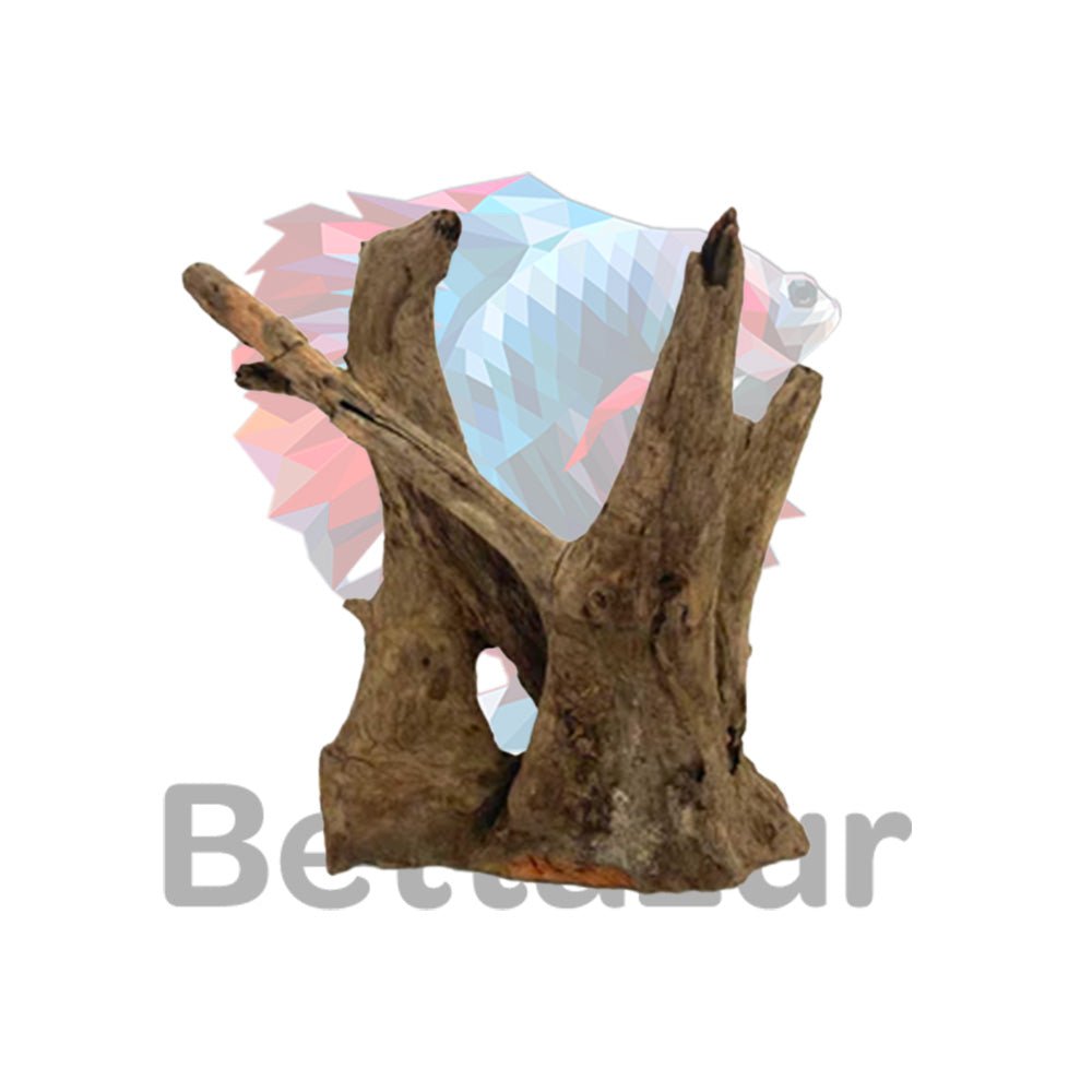 Bois de Saba | Bois d'aquarium naturels | Aquaglobe - Bettazur