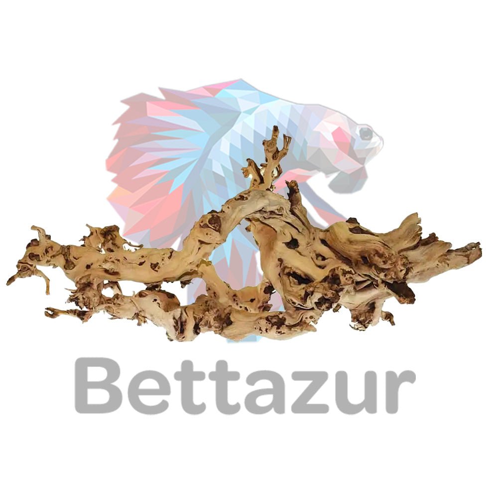 Bois de Vigne | Bois d'aquarium naturels | Aquaglobe - Bettazur